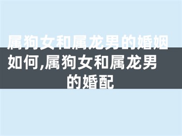 属狗女和属龙男的婚姻如何,属狗女和属龙男的婚配