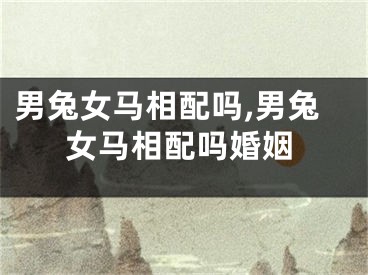 男兔女马相配吗,男兔女马相配吗婚姻