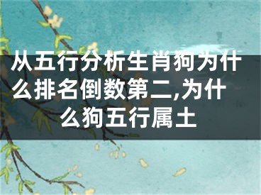 从五行分析生肖狗为什么排名倒数第二,为什么狗五行属土