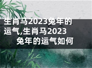 生肖马2023兔年的运气,生肖马2023兔年的运气如何