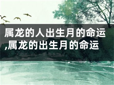 属龙的人出生月的命运,属龙的出生月的命运