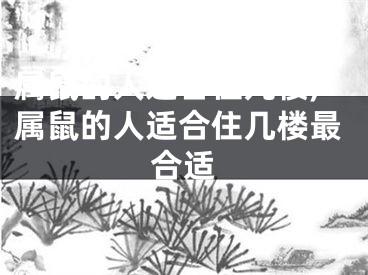 属鼠的人适合住几楼,属鼠的人适合住几楼最合适