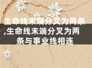 生命线末端分叉为两条,生命线末端分叉为两条与事业线相连
