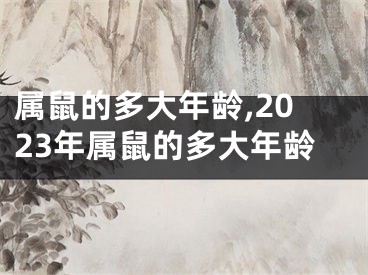 属鼠的多大年龄,2023年属鼠的多大年龄