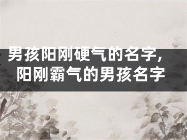 男孩阳刚硬气的名字,阳刚霸气的男孩名字