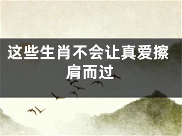 这些生肖不会让真爱擦肩而过
