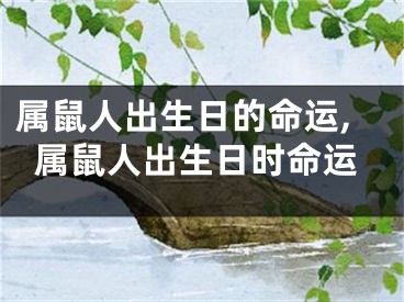 属鼠人出生日的命运,属鼠人出生日时命运