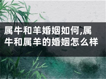 属牛和羊婚姻如何,属牛和属羊的婚姻怎么样