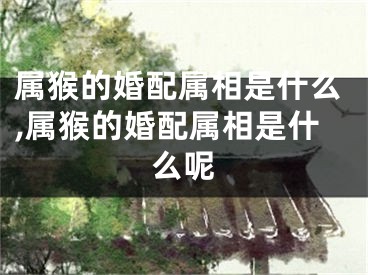 属猴的婚配属相是什么,属猴的婚配属相是什么呢