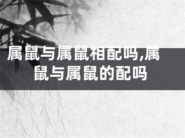 属鼠与属鼠相配吗,属鼠与属鼠的配吗