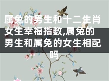 属兔的男生和十二生肖女生幸福指数,属兔的男生和属兔的女生相配吗