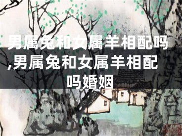 男属兔和女属羊相配吗,男属兔和女属羊相配吗婚姻