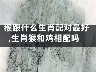 猴跟什么生肖配对最好,生肖猴和鸡相配吗