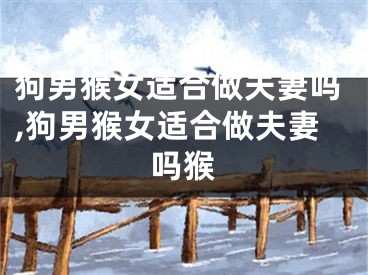 狗男猴女适合做夫妻吗,狗男猴女适合做夫妻吗猴