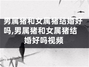 男属猪和女属猪结婚好吗,男属猪和女属猪结婚好吗视频