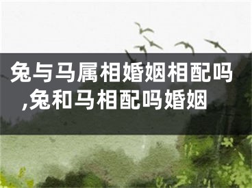 兔与马属相婚姻相配吗,兔和马相配吗婚姻