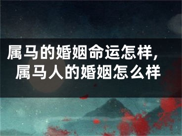 属马的婚姻命运怎样,属马人的婚姻怎么样