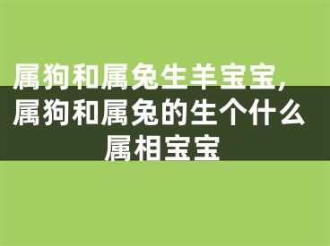 属狗和属兔生羊宝宝,属狗和属兔的生个什么属相宝宝