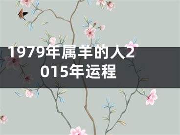1979年属羊的人2015年运程