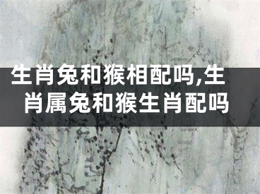 生肖兔和猴相配吗,生肖属兔和猴生肖配吗