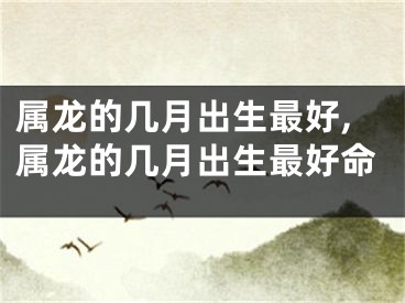 属龙的几月出生最好,属龙的几月出生最好命