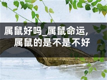 属鼠好吗_属鼠命运,属鼠的是不是不好