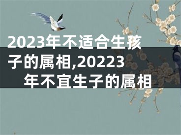 2023年不适合生孩子的属相,20223年不宜生子的属相