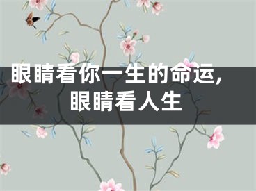 眼睛看你一生的命运,眼睛看人生