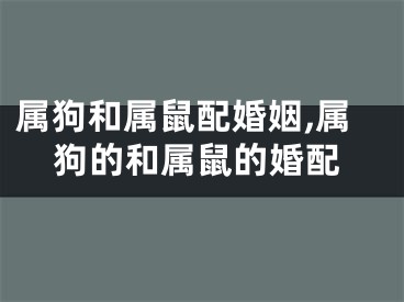 属狗和属鼠配婚姻,属狗的和属鼠的婚配