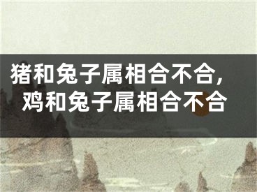 猪和兔子属相合不合,鸡和兔子属相合不合