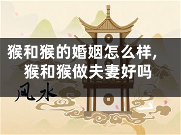 猴和猴的婚姻怎么样,猴和猴做夫妻好吗