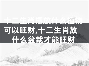 十二生肖摆放什么植物可以旺财,十二生肖放什么盆栽才能旺财