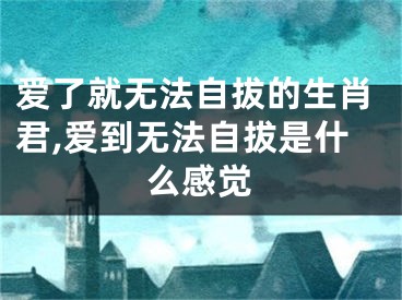 爱了就无法自拔的生肖君,爱到无法自拔是什么感觉