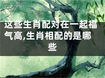这些生肖配对在一起福气高,生肖相配的是哪些