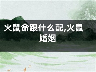 火鼠命跟什么配,火鼠婚姻