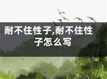 耐不住性子,耐不住性子怎么写