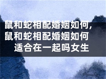 鼠和蛇相配婚姻如何,鼠和蛇相配婚姻如何 适合在一起吗女生