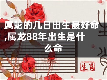 属蛇的几日出生最好命,属龙88年出生是什么命