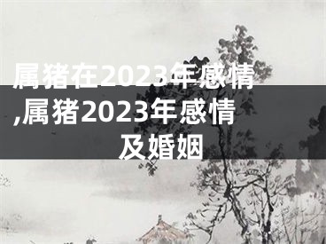 属猪在2023年感情,属猪2023年感情及婚姻