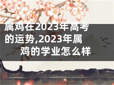 属鸡在2023年高考的运势,2023年属鸡的学业怎么样