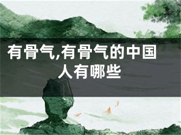 有骨气,有骨气的中国人有哪些