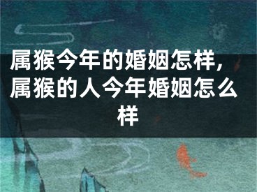 属猴今年的婚姻怎样,属猴的人今年婚姻怎么样