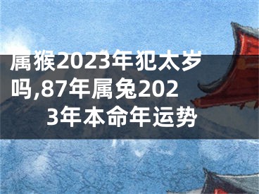属猴2023年犯太岁吗,87年属兔2023年本命年运势