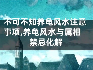 不可不知养龟风水注意事项,养龟风水与属相禁忌化解