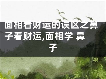 面相看财运的误区之鼻子看财运,面相学 鼻子