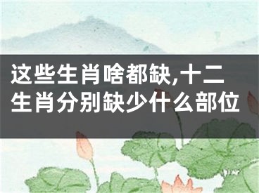 这些生肖啥都缺,十二生肖分别缺少什么部位