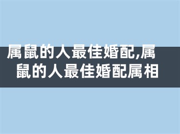 属鼠的人最佳婚配,属鼠的人最佳婚配属相