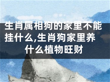 生肖属相狗的家里不能挂什么,生肖狗家里养什么植物旺财