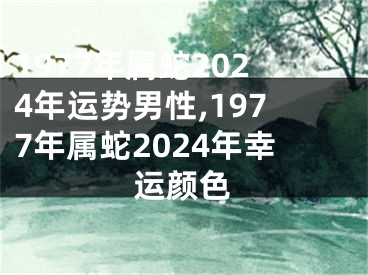 1977年属蛇2024年运势男性,1977年属蛇2024年幸运颜色