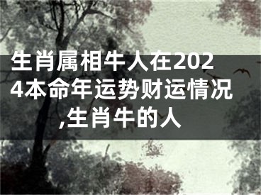 生肖属相牛人在2024本命年运势财运情况,生肖牛的人